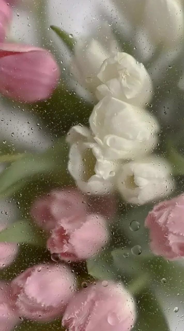 対面：🐱×👣