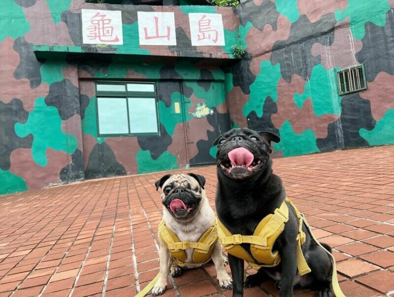 龜山島 軍事坑道