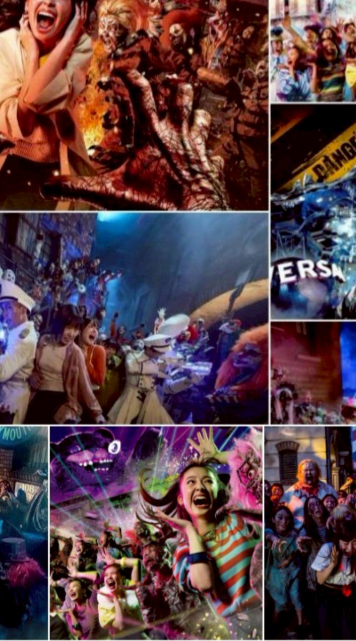🌏USJ 新・ハロウィンホラーナイト👑✨️なりきり✨️🍁🧟💙🌹【⭕ブルーローズ隊大歓迎】✨️
