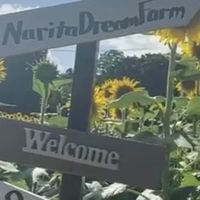 向日葵のお部屋🌻