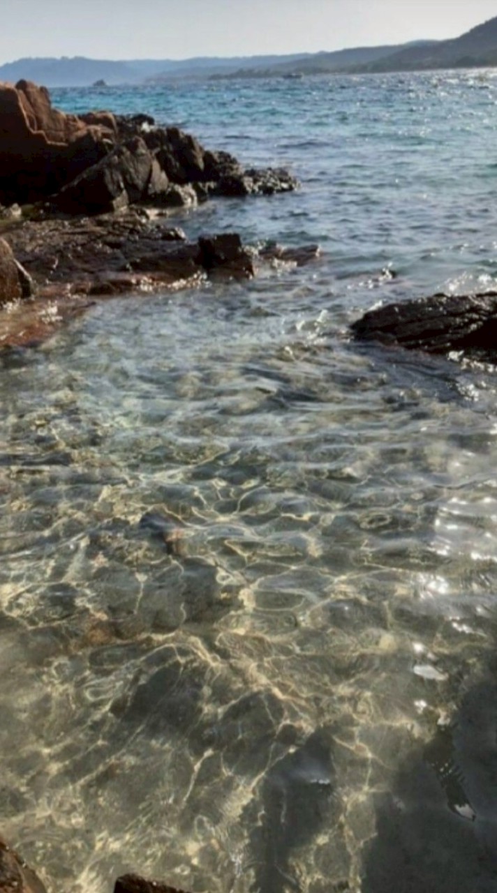 คุยเล่น🪸🪬(ตั้งโปรไฟล์เป็นพาเวอพับเกิล์)