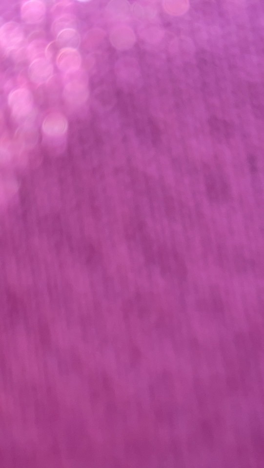 SBL