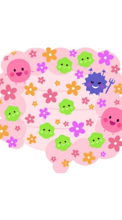 腸活でヤセ菌を増やそう！