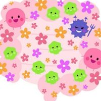 腸活でヤセ菌を増やそう！