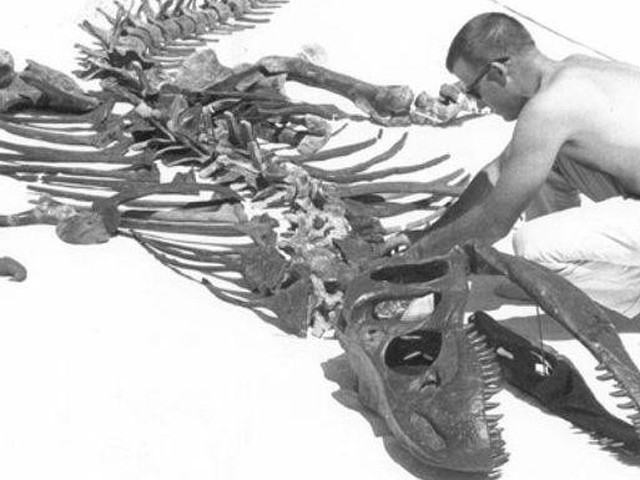 恐竜警報、発令！この素晴らしい肉食恐竜の姿をご覧ください（Esquire（エスクァイア 日本版））