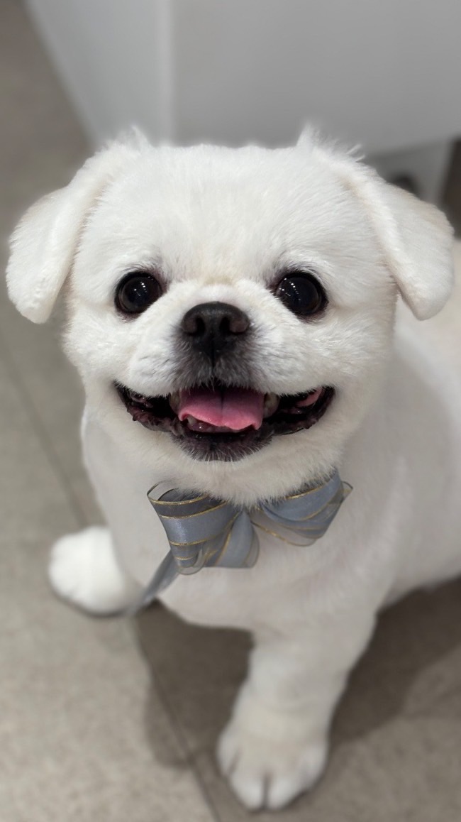 Chula🐻‍❄️やさぐれ宇野💜