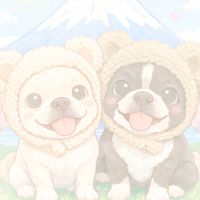 Bubu studio🐶中港澳、日本代購🏯