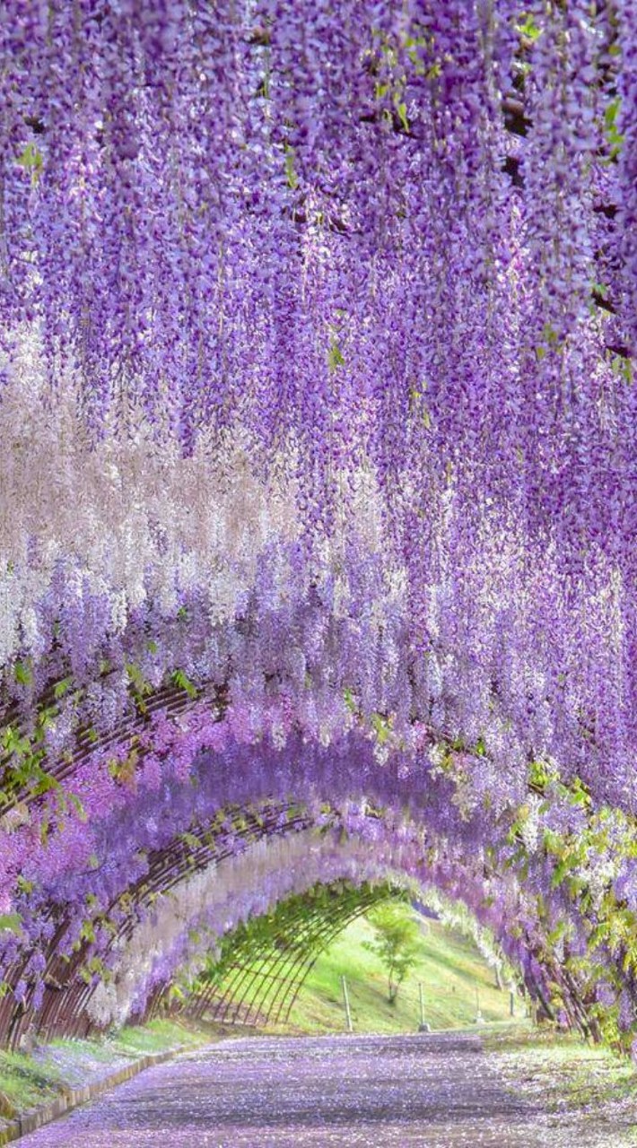 芸能人なりきり恋愛
