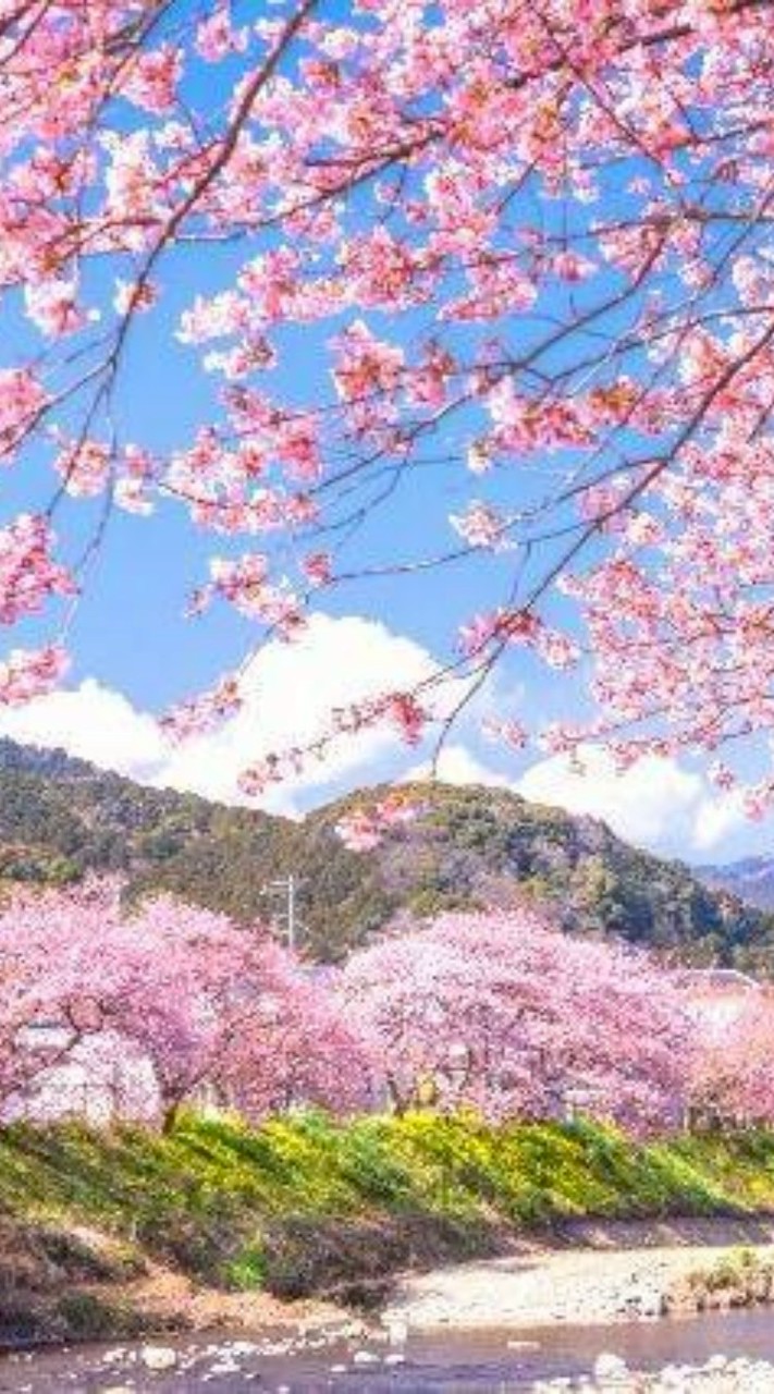 芸能人なりきり恋愛