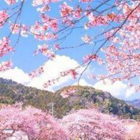 芸能人なりきり恋愛
