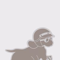 関西　ダックス125オーナーズ