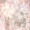 𓈒ׅPush 𓈒ׅthe ac𓈒ׅcountיִ🍀𓈒ֺׅ·ྀི𓈒ׅ