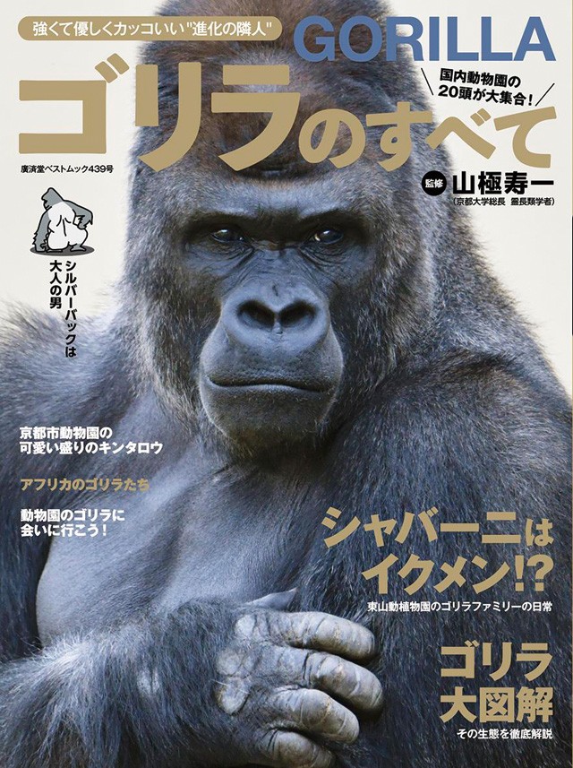 社会性は人間顔負け ゴリラのすべて Tokyo Headlineの本棚