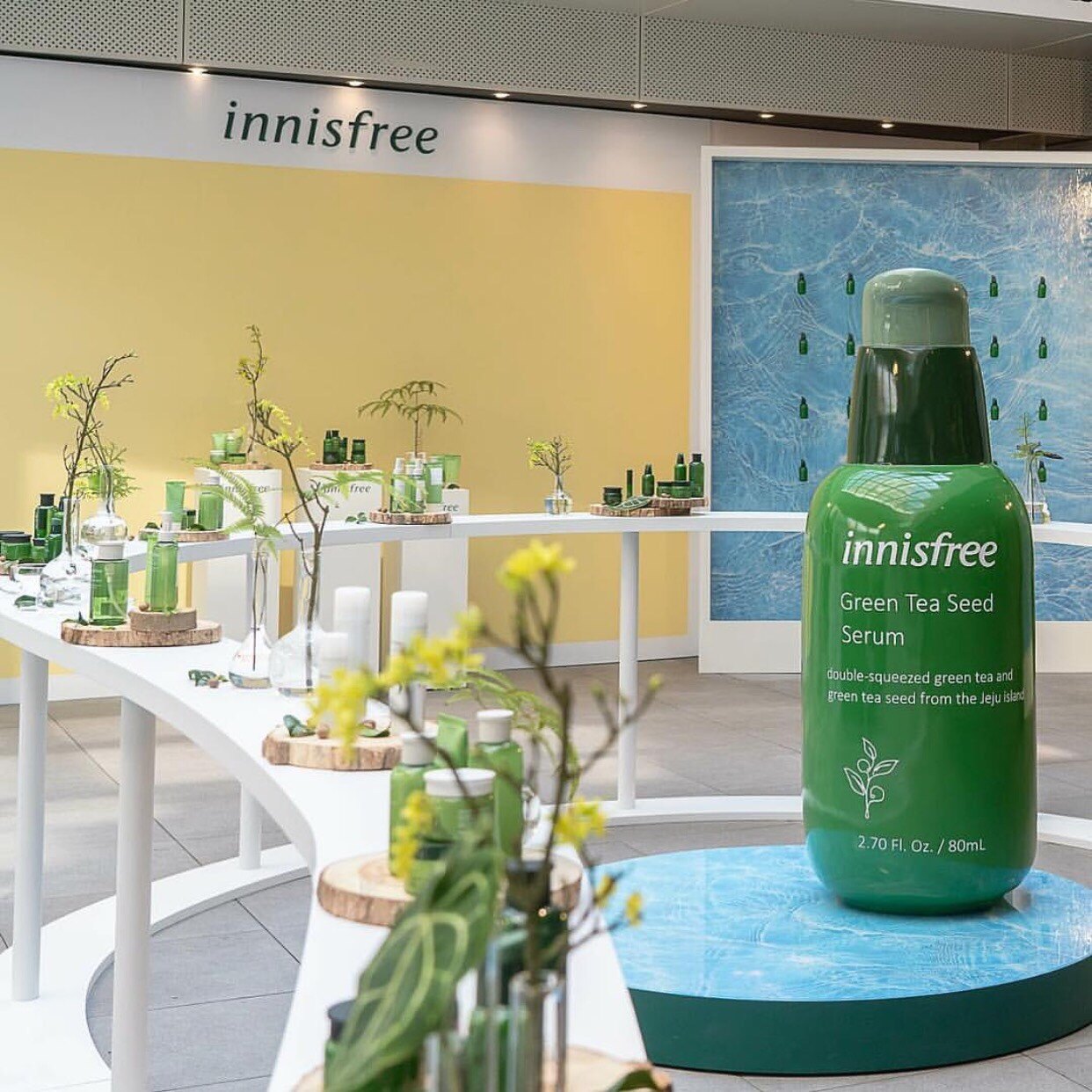 Innisfree 綠茶籽保濕精華 爽膚水 蘆薈凝膠