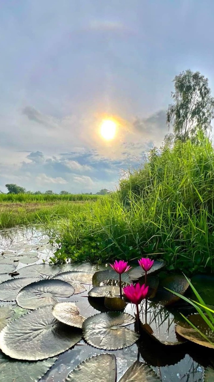 JR.ปกป้อง VIP✨