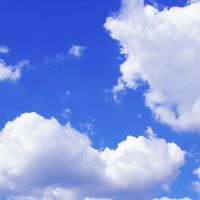 尿道下裂で産まれた子を持つ親の会（保護者のみ）
