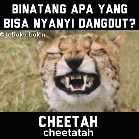 8 Meme Nama Nama Hewan Ini Benar Juga Ya Bikin Ngakak Deh