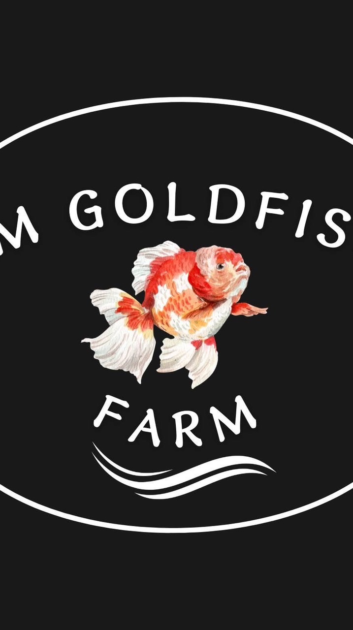 Jm goldfishs