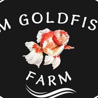 Jm goldfishs
