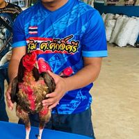ซุ้ม ศ.ศักดิ์ศรี