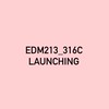 Launching_316C