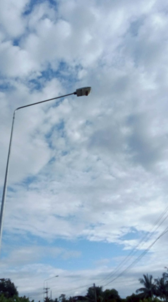 กลุ่มม.1/8