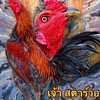 ไก่ชนบ้านสกุลศรี
