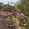 愛知県周辺ライト登山会！