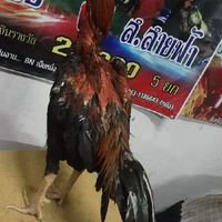 ส.ขวัญชัย