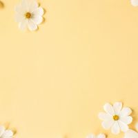 50〜の音楽、歌大好き♪ボイス♬♪ポケカラ♬♪🆗 会話はかなり少なめスタンプのみもありのお部屋🍀💕✨