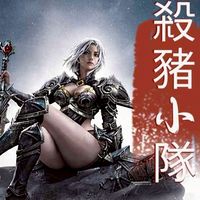 鎮西北殺豬小隊