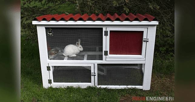 5 Tips Membuat Kandang Kelinci Yang Sederhana