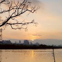 憂鬱抒發站