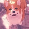 3/30 ヨルシカセッション