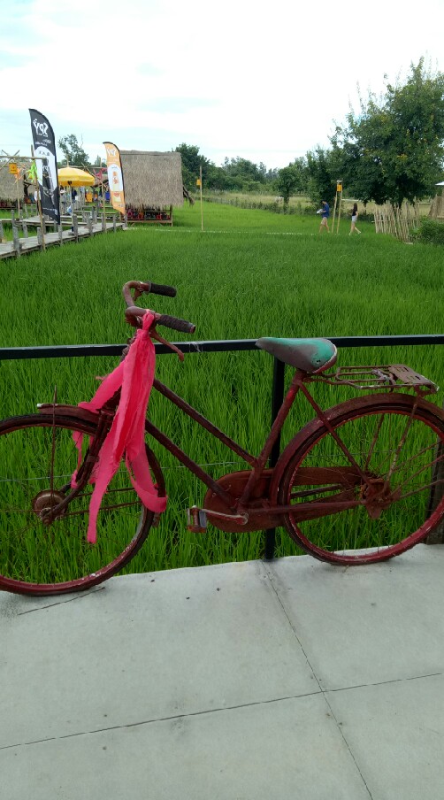 คุยกันตามประสาคนสูงวัย 50+