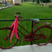 คุยกันตามประสาคนสูงวัย 50+