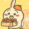 桔子🍊日本連線代購