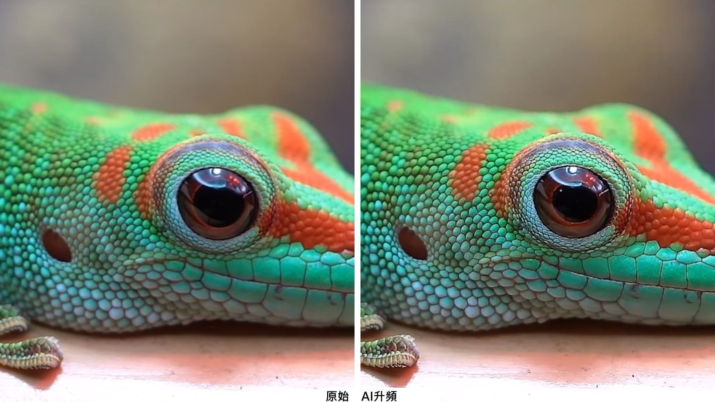 AI升頻功能則能補強影片中的細節，提升觀影體驗。（點此進行互動體驗）