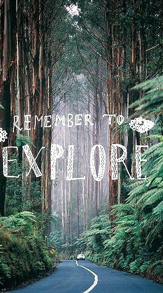 Travel the world