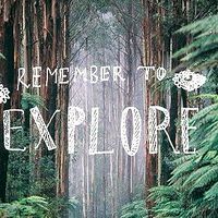 Travel the world