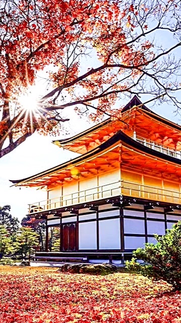 ⛩️Mannis日本神社連線代購⛩️