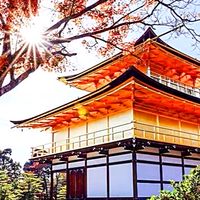 ⛩️Mannis日本神社連線代購⛩️