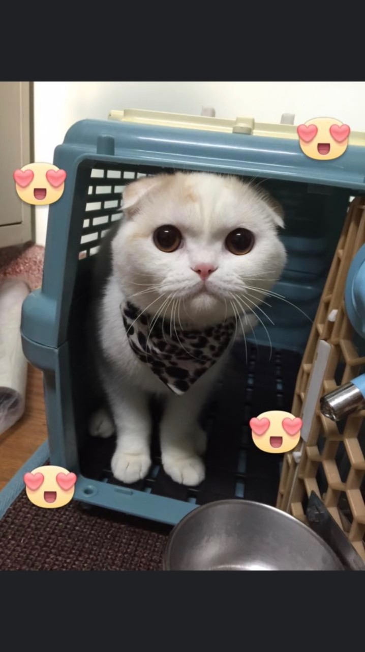 新哥抖音群