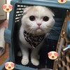 新哥抖音群