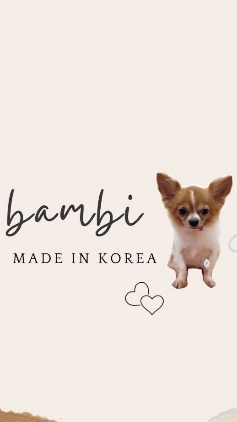 BAMBI斑比韓國🇰🇷寵物代購