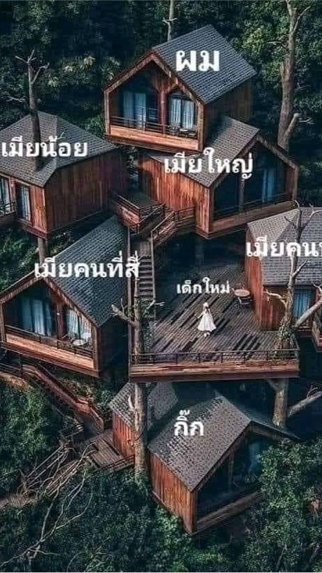 หมูขายที่ ที่ดินราคาถูก