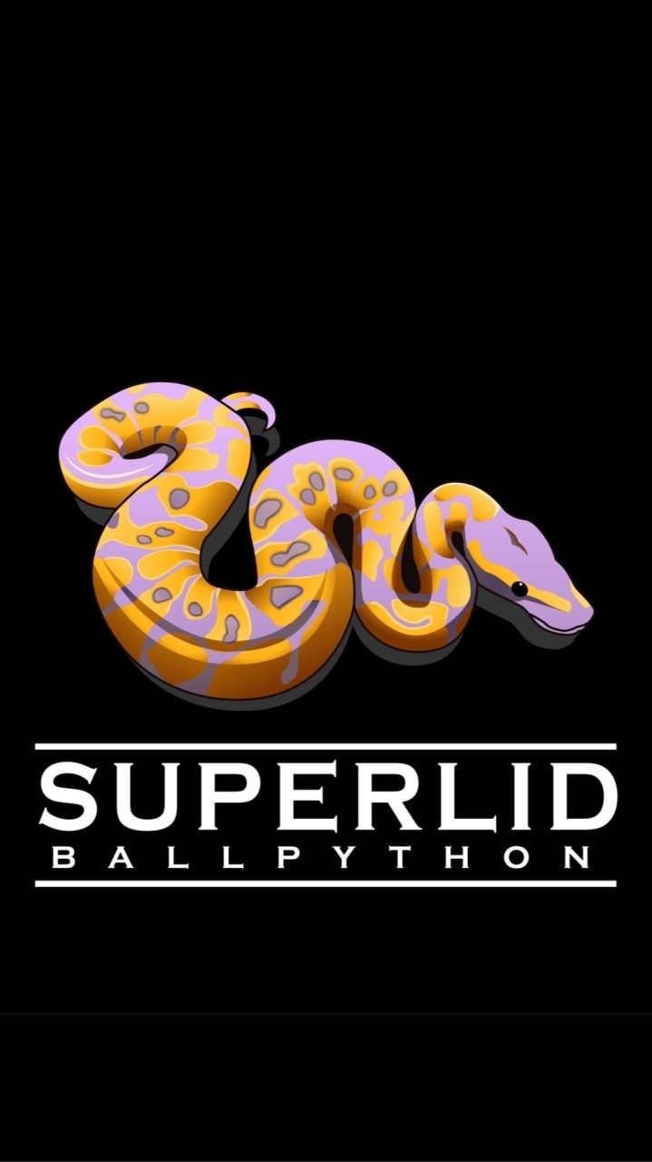 Superlid Ballpython