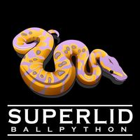 Superlid Ballpython