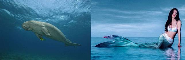 6 Hewan Mitologi Ini Mirip Banget Sama Hewan Asli Indonesia