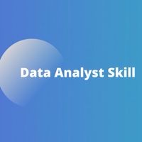 Data Analyst Skill